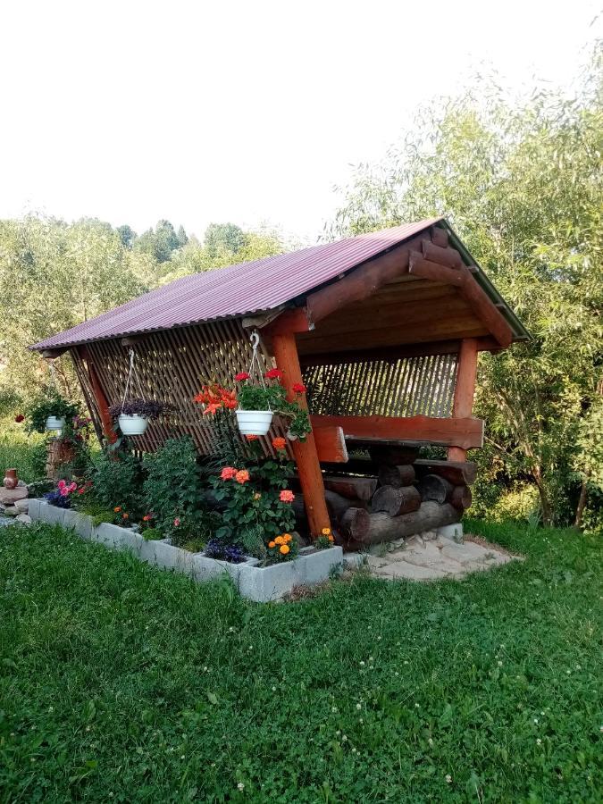 Sadyba Sunny House Пилипец Экстерьер фото